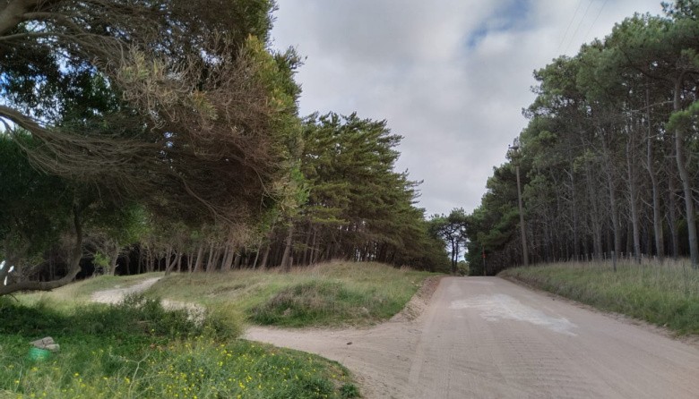 Chaparrones y vientos fuertes en Necochea y Quequén este viernes