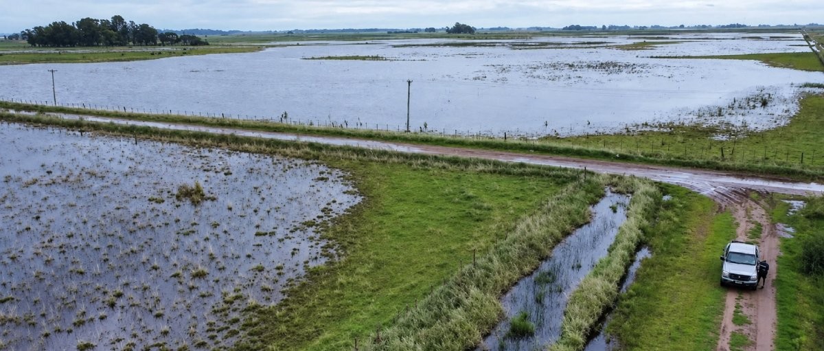 Oficializan la emergencia agropecuaria por inundaciones en Necochea