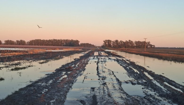 Declaran la emergencia agropecuaria en Necochea por inundaciones