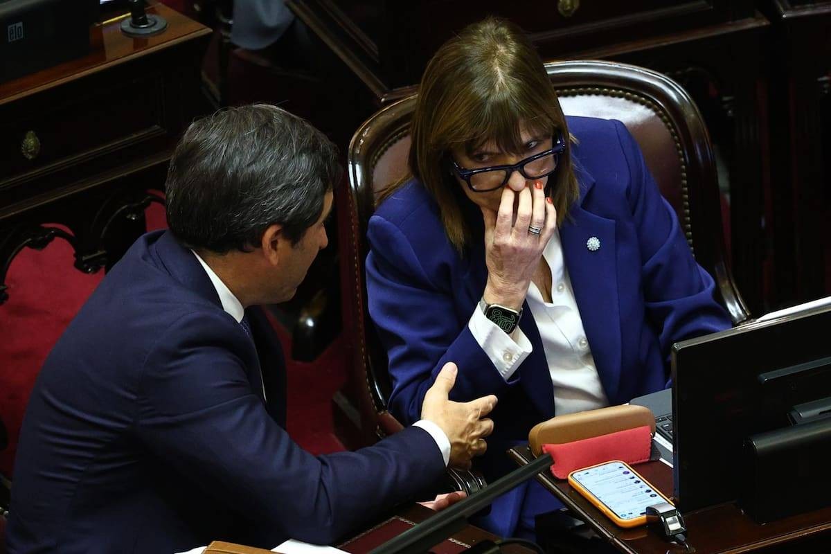 El Senado aprobó la reforma de la Ley de Salud Mental y la giró a Diputados