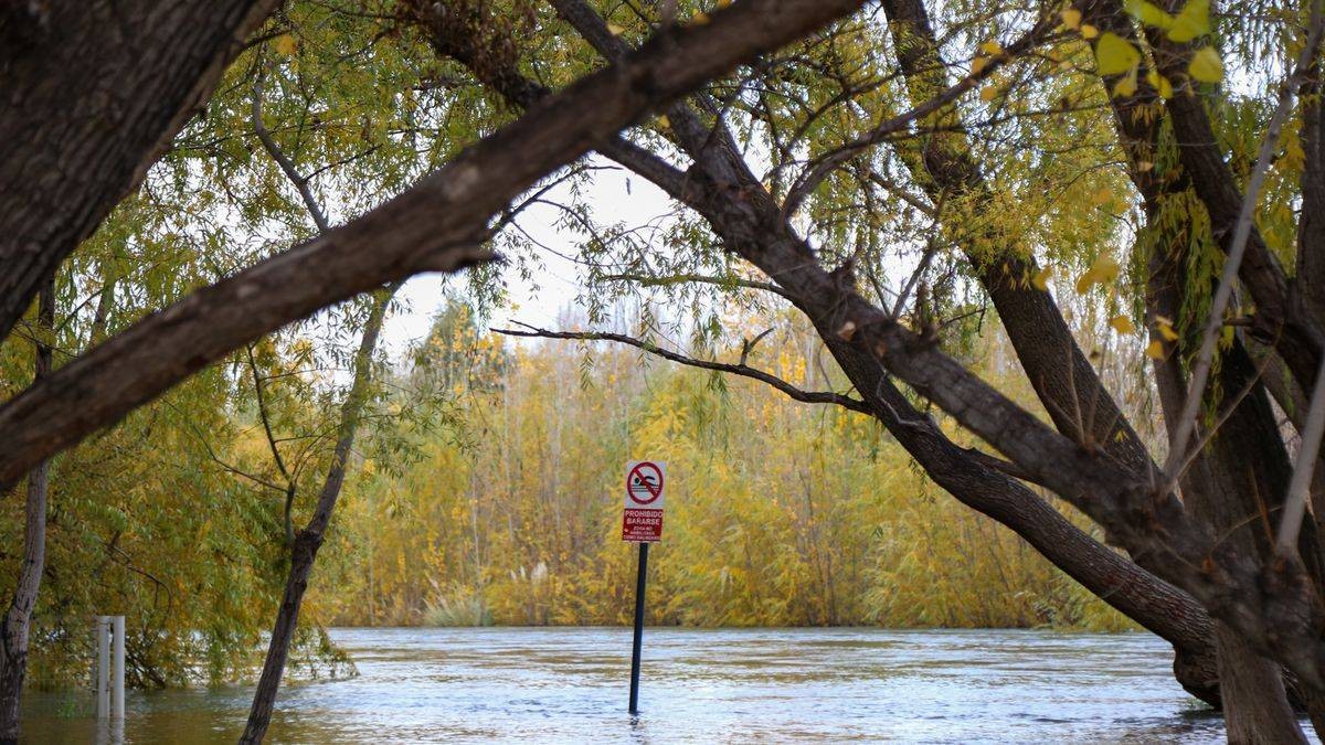 Google Flood Hub permite seguir caudales de ríos en tiempo real