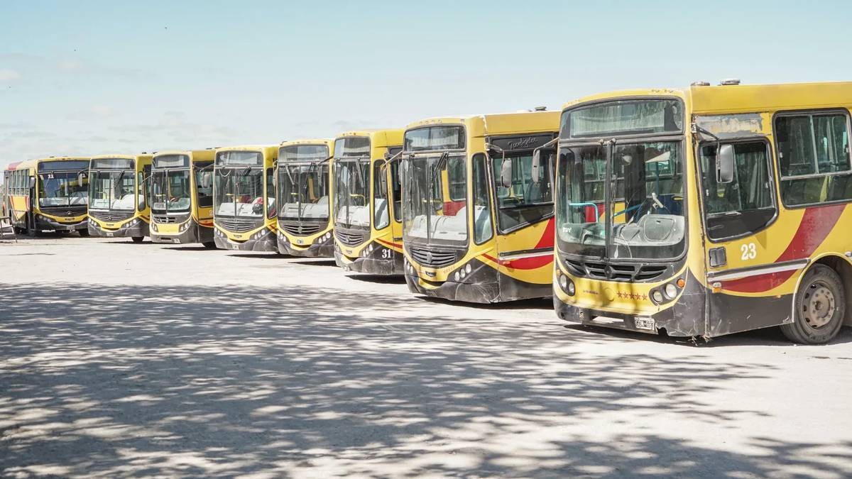 Colectiveros de Necochea y Quequén mantienen paro por salarios